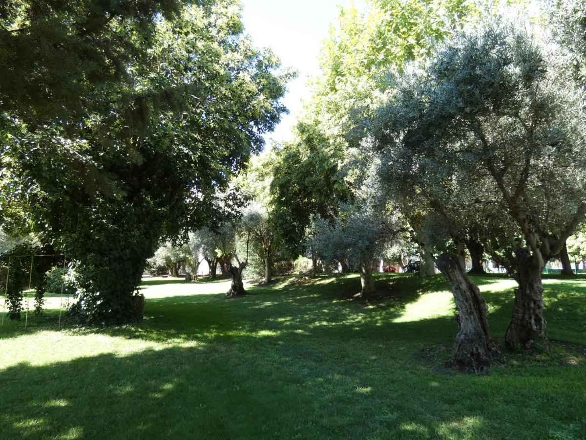 Hotel Los Olivos Getafe Luaran gambar