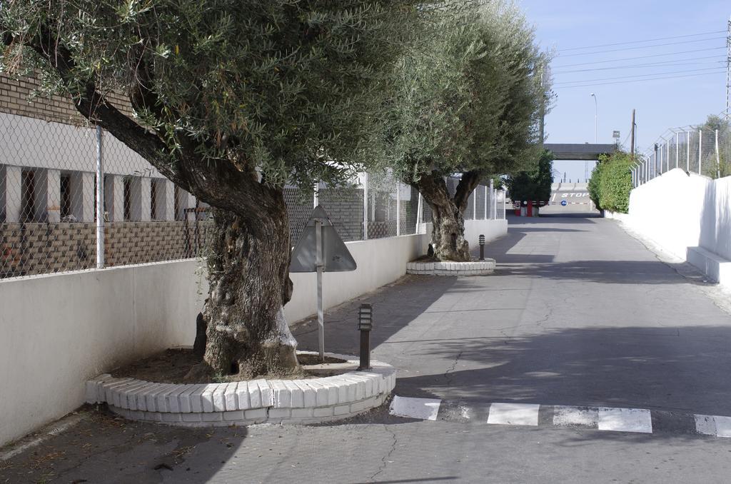 Hotel Los Olivos Getafe Luaran gambar