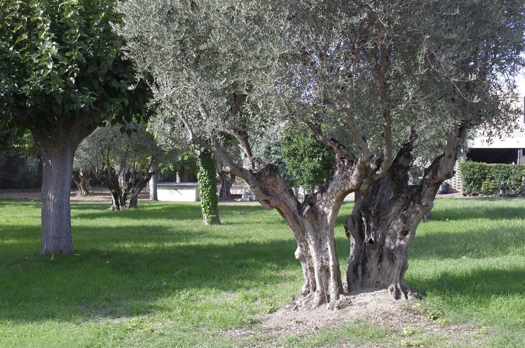Hotel Los Olivos Getafe Luaran gambar