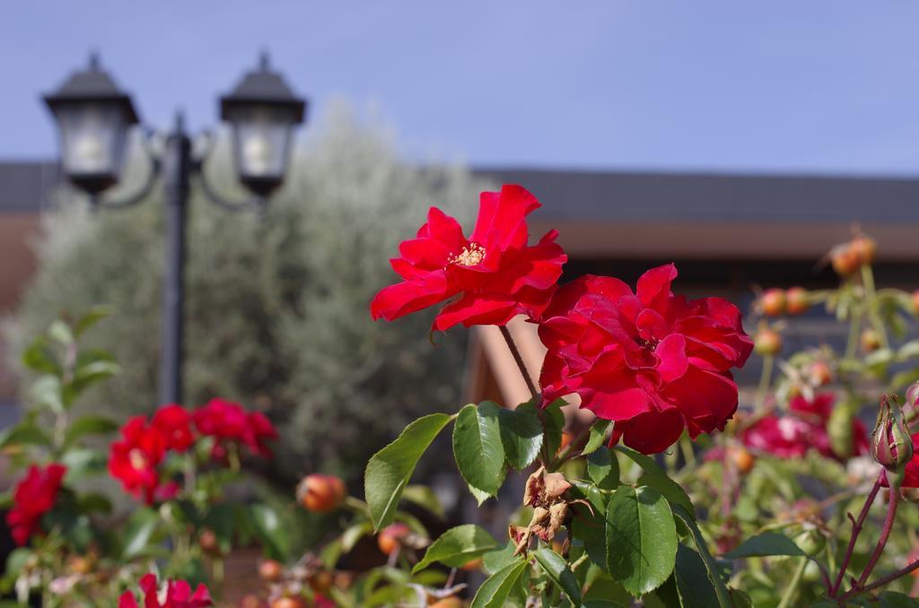 Hotel Los Olivos Getafe Luaran gambar