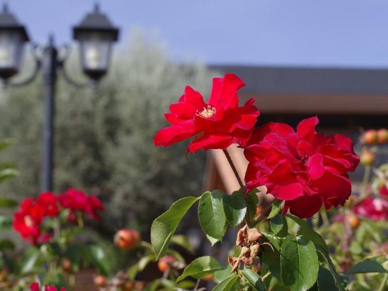 Hotel Los Olivos Getafe Luaran gambar