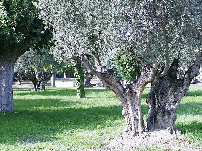 Hotel Los Olivos Getafe Luaran gambar